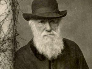 Charles Darwin, autore dell'Origine delle specie (1859)